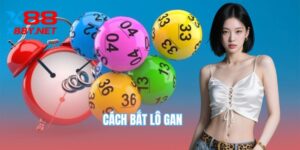 cach-bat-lo-gan