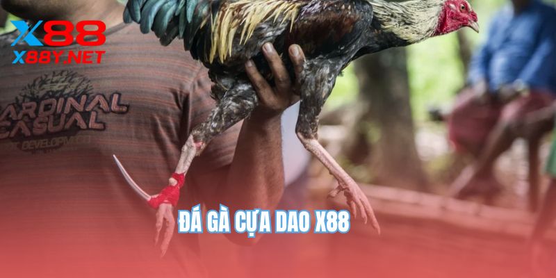 da-ga-cua-dao